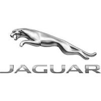 Kategoria Jaguar image